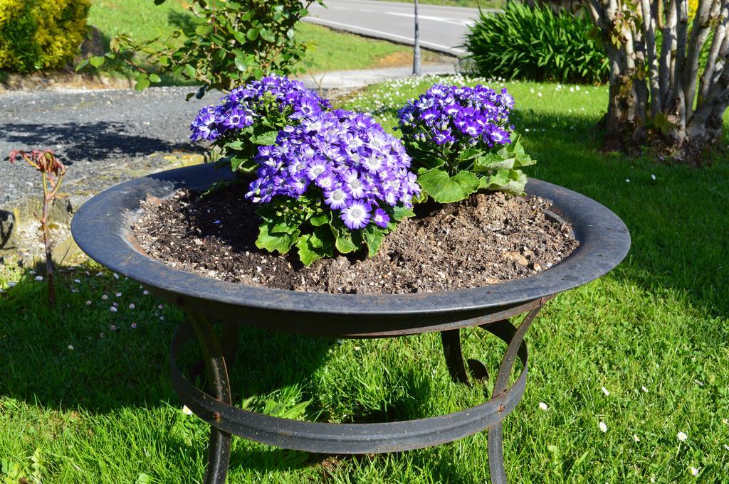 סנטילנה דל מר Posada El Jardin מראה חיצוני תמונה